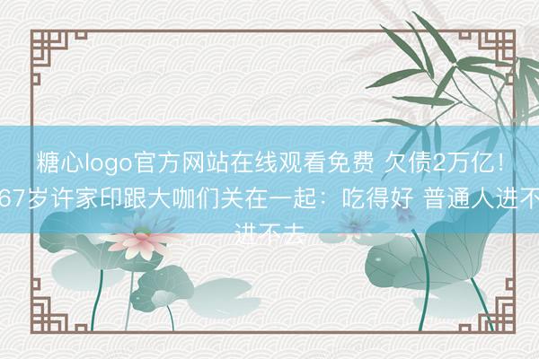 糖心logo官方网站在线观看免费 欠债2万亿！曝67岁许家印跟大咖们关在一起：吃得好 普通人进不去