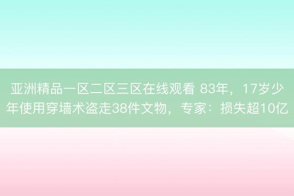 亚洲精品一区二区三区在线观看 83年，17岁少年使用穿墙术盗走38件文物，专家：损失超10亿