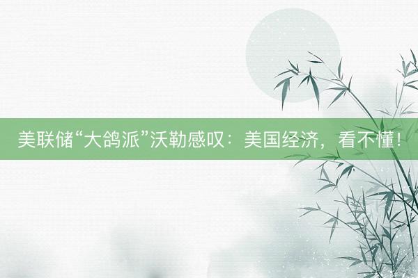 美联储“大鸽派”沃勒感叹：美国经济，看不懂！