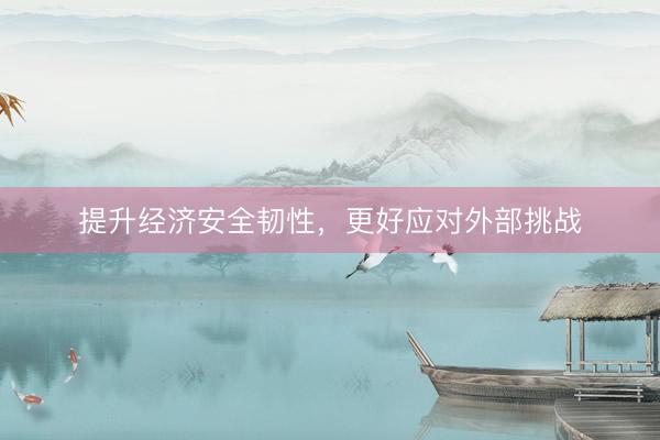 提升经济安全韧性，更好应对外部挑战