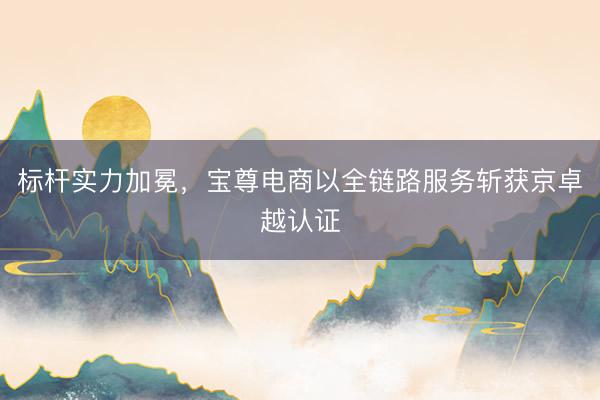 标杆实力加冕，宝尊电商以全链路服务斩获京卓越认证
