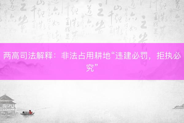 两高司法解释：非法占用耕地“违建必罚，拒执必究”