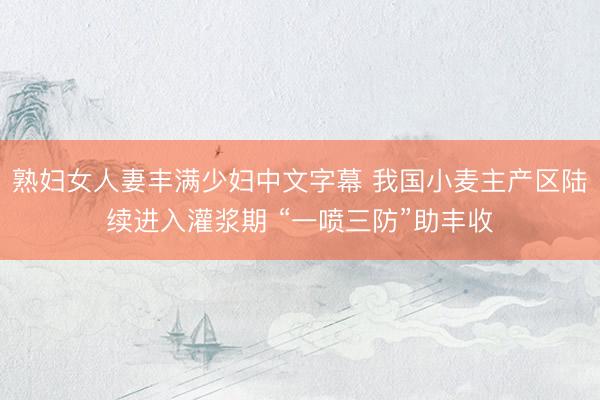 熟妇女人妻丰满少妇中文字幕 我国小麦主产区陆续进入灌浆期 “一喷三防”助丰收