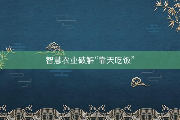 智慧农业破解“靠天吃饭”