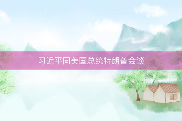 习近平同美国总统特朗普会谈