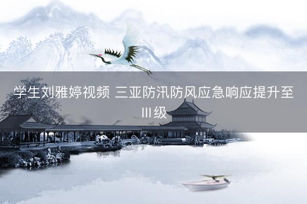 学生刘雅婷视频 三亚防汛防风应急响应提升至Ⅲ级