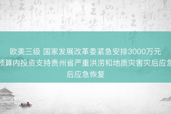 欧美三级 国家发展改革委紧急安排3000万元中央预算内投资支持贵州省严重洪涝和地质灾害灾后应急恢复