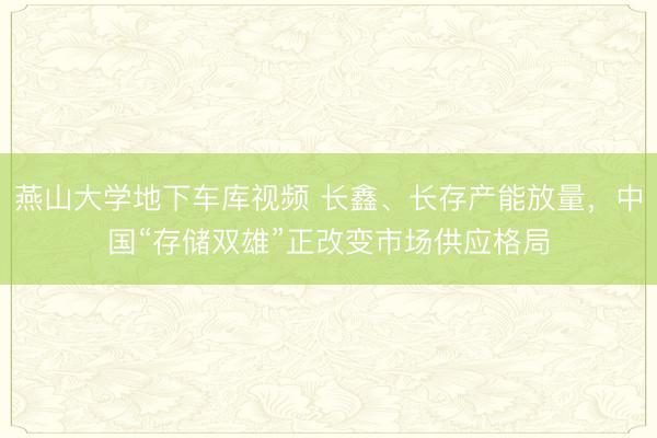 燕山大学地下车库视频 长鑫、长存产能放量，中国“存储双雄”正改变市场供应格局