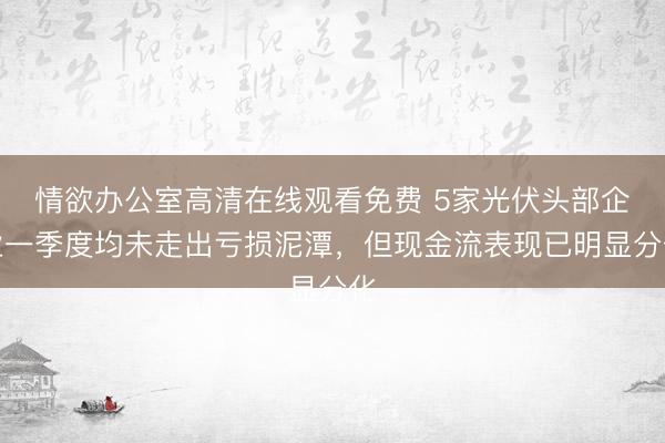 情欲办公室高清在线观看免费 5家光伏头部企业一季度均未走出亏损泥潭，但现金流表现已明显分化
