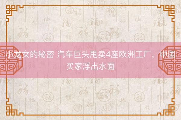 小龙女的秘密 汽车巨头甩卖4座欧洲工厂，中国买家浮出水面