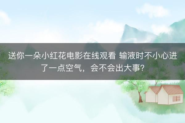 送你一朵小红花电影在线观看 输液时不小心进了一点空气，会不会出大事？