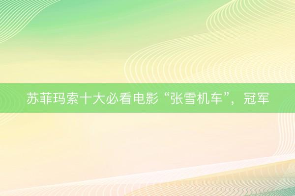 苏菲玛索十大必看电影 “张雪机车”，冠军