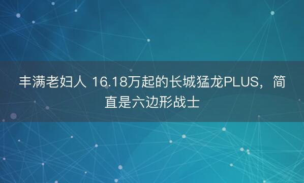 丰满老妇人 16.18万起的长城猛龙PLUS，简直是六边形战士