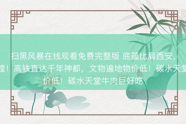 扫黑风暴在线观看免费完整版 底蕴比肩西安，石刻不输敦煌！高铁直达千年神都，文物遍地物价低！碳水天堂牛肉巨好吃
