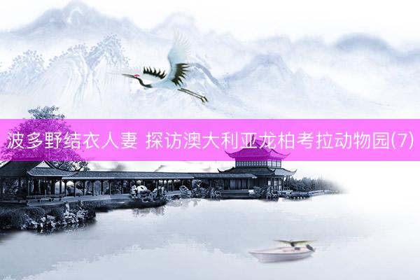 波多野结衣人妻 探访澳大利亚龙柏考拉动物园(7)