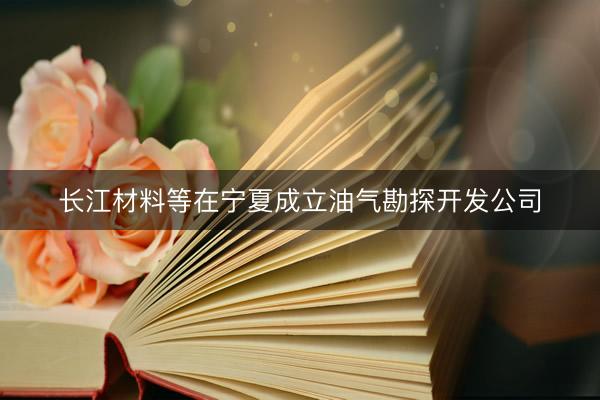 长江材料等在宁夏成立油气勘探开发公司