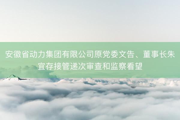 安徽省动力集团有限公司原党委文告、董事长朱宜存接管递次审查和监察看望