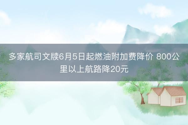 多家航司文牍6月5日起燃油附加费降价 800公里以上航路降20元