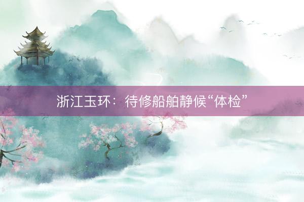 浙江玉环：待修船舶静候“体检”