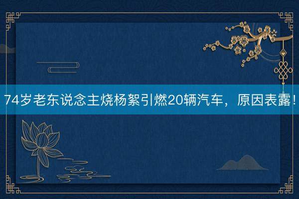74岁老东说念主烧杨絮引燃20辆汽车，原因表露！