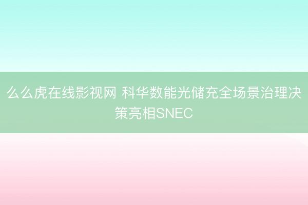 么么虎在线影视网 科华数能光储充全场景治理决策亮相SNEC