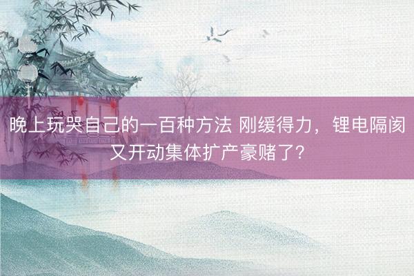 晚上玩哭自己的一百种方法 刚缓得力，锂电隔阂又开动集体扩产豪赌了？
