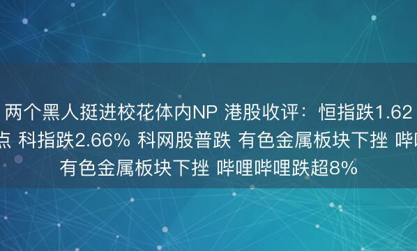两个黑人挺进校花体内NP 港股收评：恒指跌1.62%失守26000点 科指跌2.66% 科网股普跌 有色金属板块下挫 哔哩哔哩跌超8%