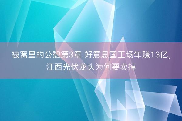 被窝里的公憩第3章 好意思国工场年赚13亿，江西光伏龙头为何要卖掉