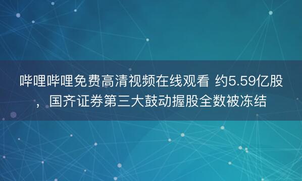 哔哩哔哩免费高清视频在线观看 约5.59亿股，国齐证券第三大鼓动握股全数被冻结