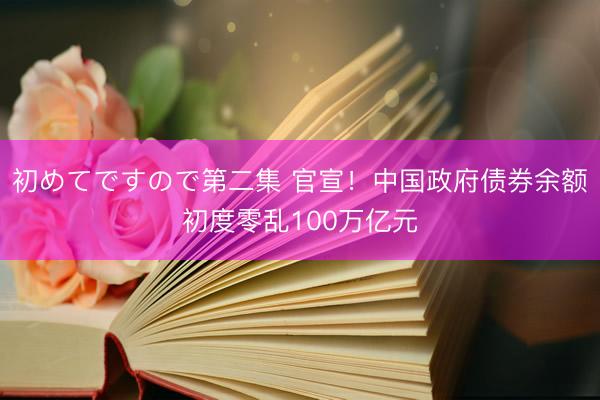 初めてですので第二集 官宣！中国政府债券余额初度零乱100万亿元