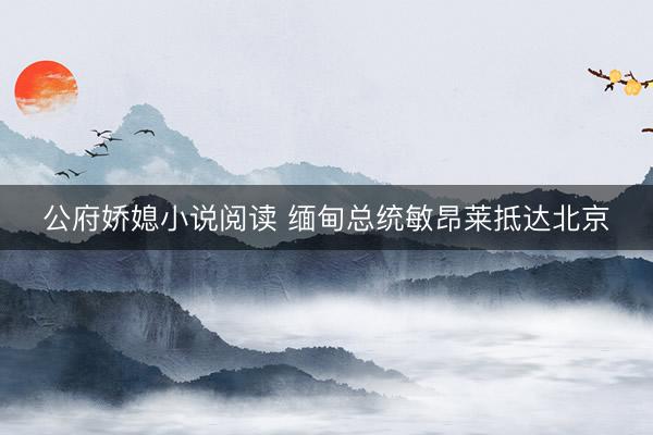 公府娇媳小说阅读 缅甸总统敏昂莱抵达北京