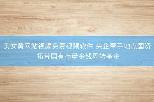 美女黄网站视频免费视频软件 央企牵手地点国资 拓荒国有存量金钱周转基金