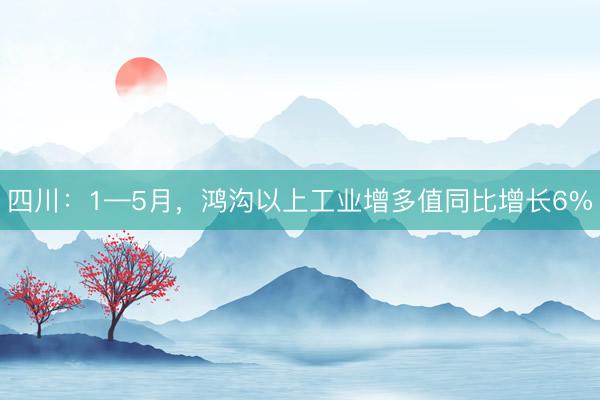 四川：1—5月，鸿沟以上工业增多值同比增长6%