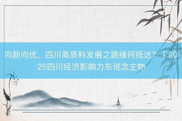 向新向优，四川高质料发展之路缘何抵达？丨2025四川经济影响力东说念主物