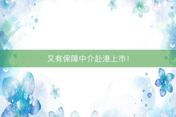 又有保障中介赴港上市！