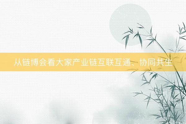 从链博会看大家产业链互联互通、协同共生
